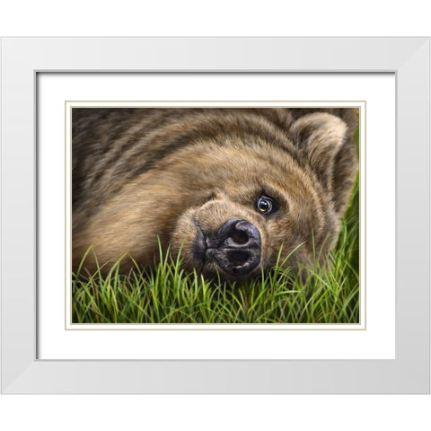 Grizzly on Grass White Modern Wood Framed Art Print with Double Matting by LaMontagne, Patrick