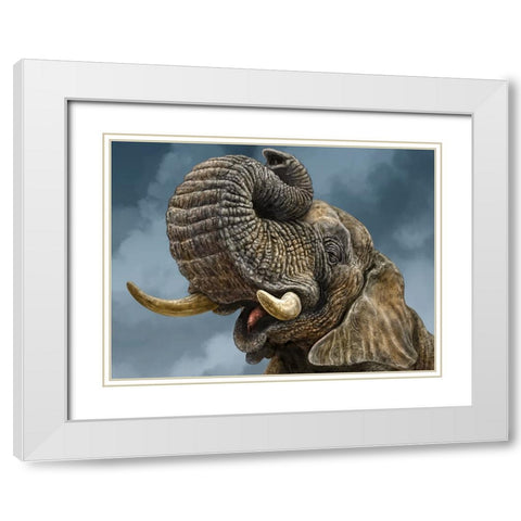 African Elephant White Modern Wood Framed Art Print with Double Matting by LaMontagne, Patrick