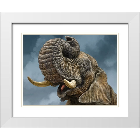 African Elephant White Modern Wood Framed Art Print with Double Matting by LaMontagne, Patrick