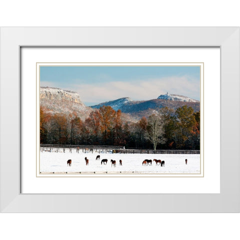 Early Snow Horse Paddock White Modern Wood Framed Art Print with Double Matting by Goldwitz, Robert