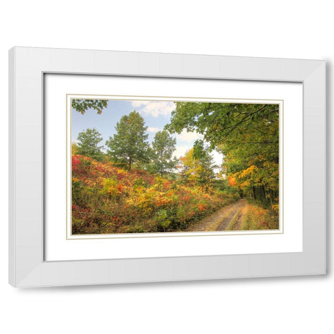 Autumn Path White Modern Wood Framed Art Print with Double Matting by Goldwitz, Robert