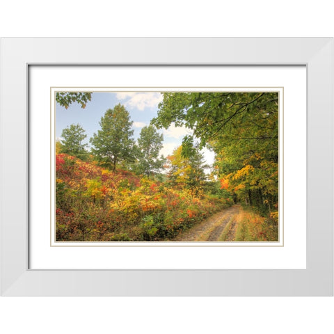 Autumn Path White Modern Wood Framed Art Print with Double Matting by Goldwitz, Robert