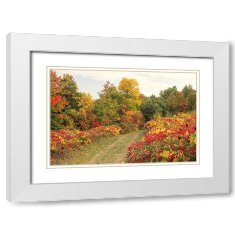 Brilliant Hillside White Modern Wood Framed Art Print with Double Matting by Goldwitz, Robert
