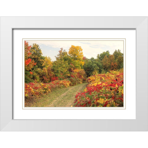 Brilliant Hillside White Modern Wood Framed Art Print with Double Matting by Goldwitz, Robert