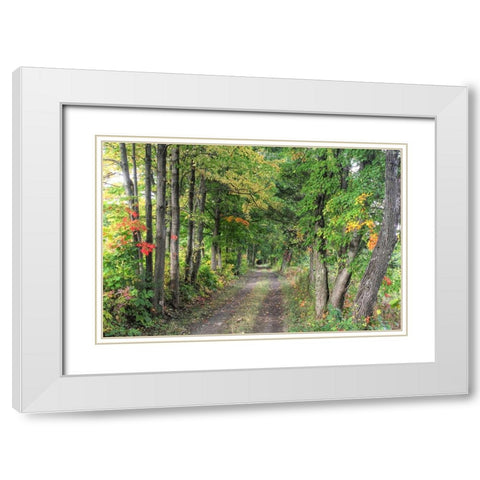 Carriage Path White Modern Wood Framed Art Print with Double Matting by Goldwitz, Robert