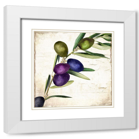 Olive Branch III White Modern Wood Framed Art Print with Double Matting by Sasha