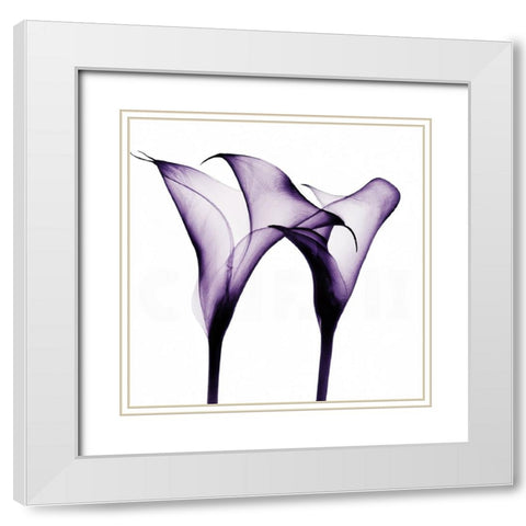Purple Calla One White Modern Wood Framed Art Print with Double Matting by Sasha