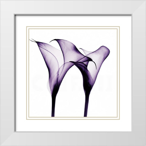 Purple Calla One White Modern Wood Framed Art Print with Double Matting by Sasha