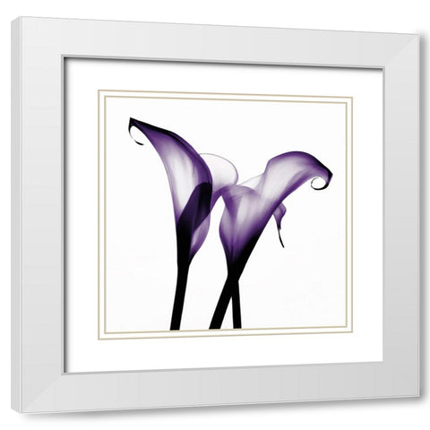 Purple Calla Two White Modern Wood Framed Art Print with Double Matting by Sasha