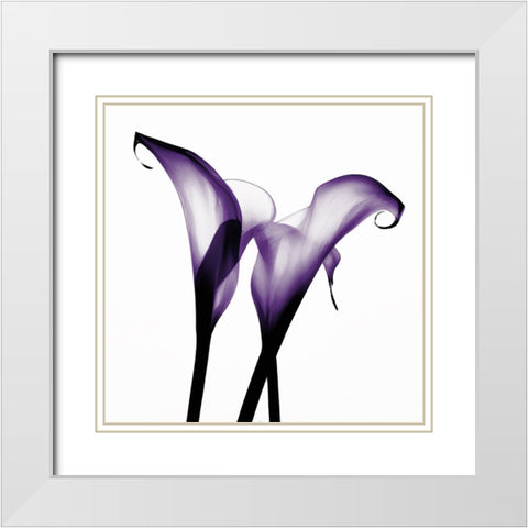Purple Calla Two White Modern Wood Framed Art Print with Double Matting by Sasha