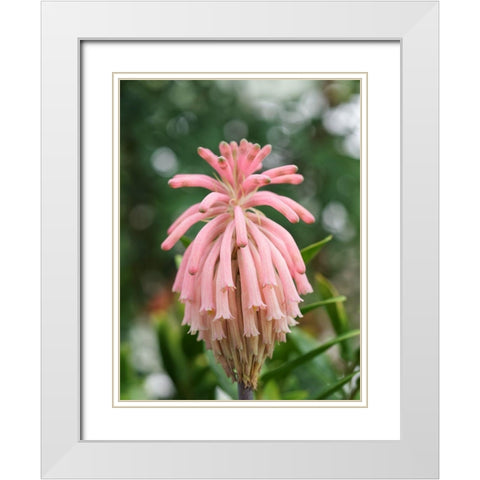Forest Lily White Modern Wood Framed Art Print with Double Matting by Bonin, Suzanne