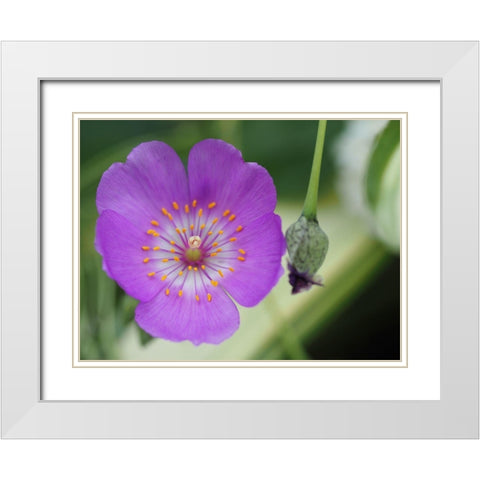 Jazz Time White Modern Wood Framed Art Print with Double Matting by Bonin, Suzanne