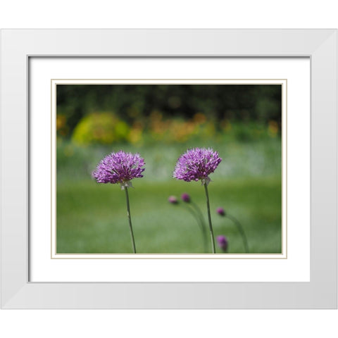Blossom Chives White Modern Wood Framed Art Print with Double Matting by Bonin, Suzanne