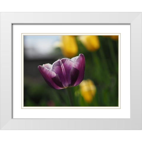 Peace White Modern Wood Framed Art Print with Double Matting by Bonin, Suzanne