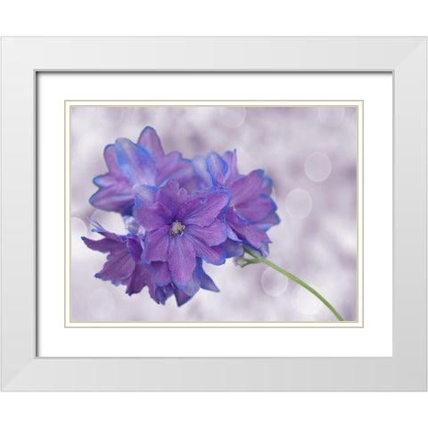 Pretty Me White Modern Wood Framed Art Print with Double Matting by Bonin, Suzanne