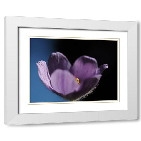 Special One White Modern Wood Framed Art Print with Double Matting by Bonin, Suzanne