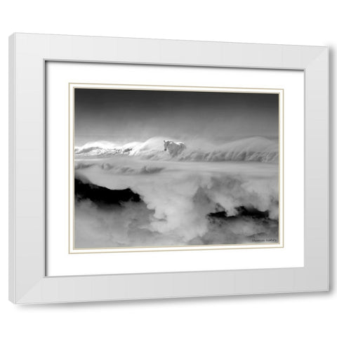 Night... Mare White Modern Wood Framed Art Print with Double Matting by Barbey, Thomas