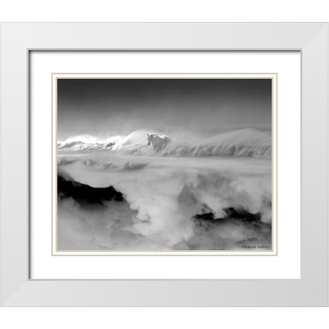 Night... Mare White Modern Wood Framed Art Print with Double Matting by Barbey, Thomas
