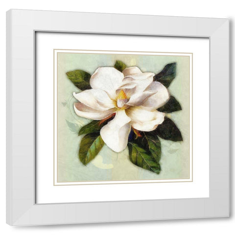 Nouveau Botanica White Modern Wood Framed Art Print with Double Matting by Lavoie, Tina