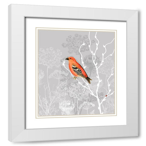 Queen Ann Morning White Modern Wood Framed Art Print with Double Matting by Lavoie, Tina