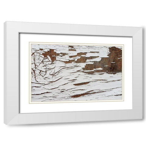 Whitewash 001 White Modern Wood Framed Art Print with Double Matting by Lavoie, Tina