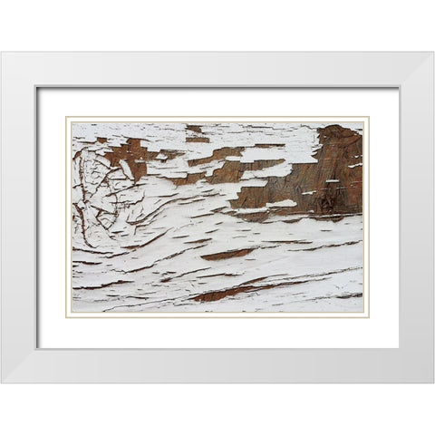 Whitewash 001 White Modern Wood Framed Art Print with Double Matting by Lavoie, Tina