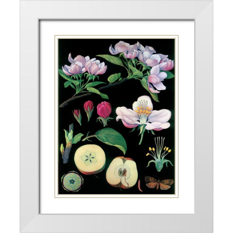 Apple Tree White Modern Wood Framed Art Print with Double Matting by Vintage Apple Collection