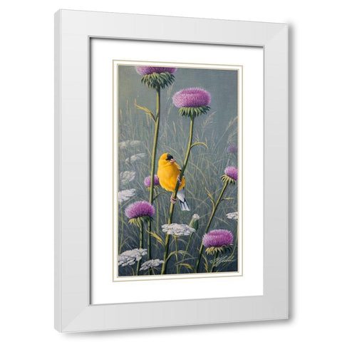 Goldfinch White Modern Wood Framed Art Print with Double Matting by Goebel, Wilhelm