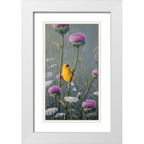 Goldfinch White Modern Wood Framed Art Print with Double Matting by Goebel, Wilhelm