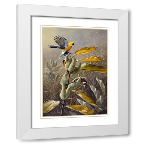 Meadow Gold White Modern Wood Framed Art Print with Double Matting by Goebel, Wilhelm