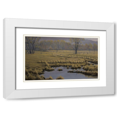Spring Pasture - Mallard Pair White Modern Wood Framed Art Print with Double Matting by Goebel, Wilhelm