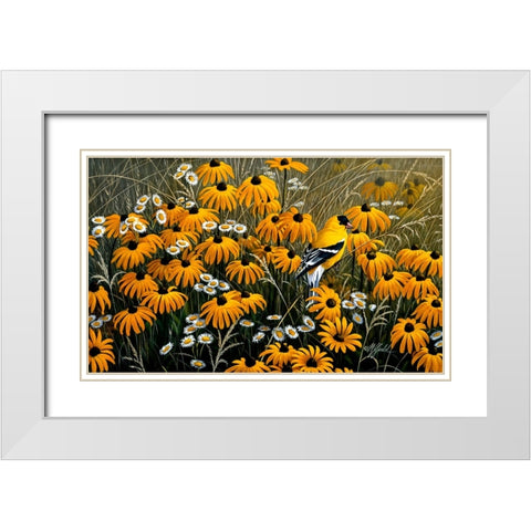 Summer Gold White Modern Wood Framed Art Print with Double Matting by Goebel, Wilhelm
