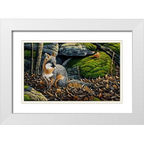 Grey Fox White Modern Wood Framed Art Print with Double Matting by Goebel, Wilhelm