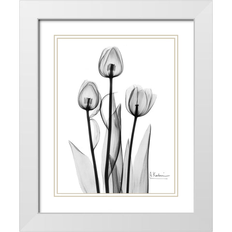 Tulips Black and White White Modern Wood Framed Art Print with Double Matting by Koetsier, Albert