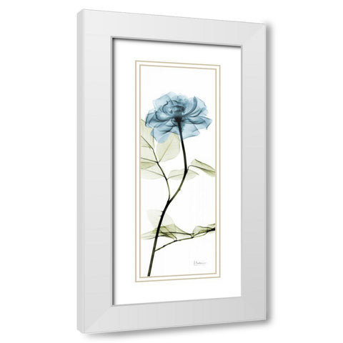 Long Blue Rose White Modern Wood Framed Art Print with Double Matting by Koetsier, Albert