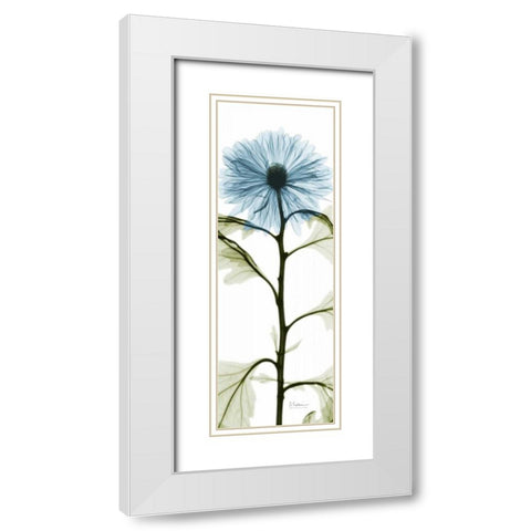 Long Blue Chrysanthemum White Modern Wood Framed Art Print with Double Matting by Koetsier, Albert