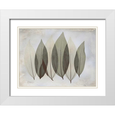 Coculus Leaf L348 White Modern Wood Framed Art Print with Double Matting by Koetsier, Albert