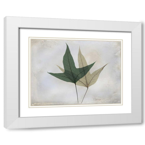The Grays 2 White Modern Wood Framed Art Print with Double Matting by Koetsier, Albert