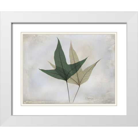 The Grays 2 White Modern Wood Framed Art Print with Double Matting by Koetsier, Albert