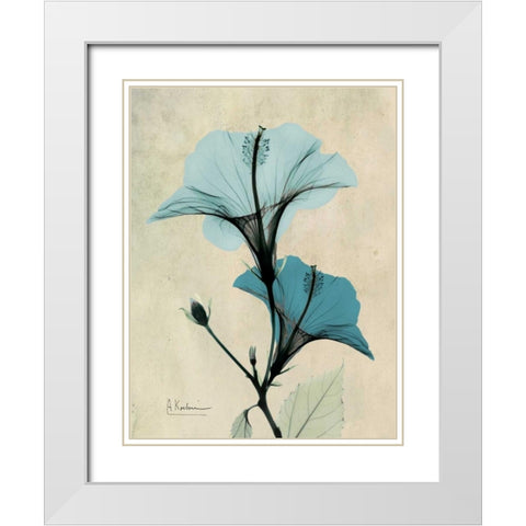 Hibiscus White Modern Wood Framed Art Print with Double Matting by Koetsier, Albert