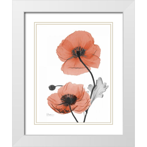 Soft Poppy White Modern Wood Framed Art Print with Double Matting by Koetsier, Albert