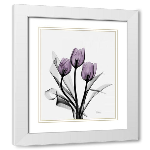 Three Purple Tulips H14 White Modern Wood Framed Art Print with Double Matting by Koetsier, Albert