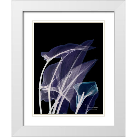 Lily Xray White Modern Wood Framed Art Print with Double Matting by Koetsier, Albert