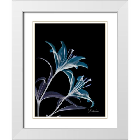 Lily L145 White Modern Wood Framed Art Print with Double Matting by Koetsier, Albert