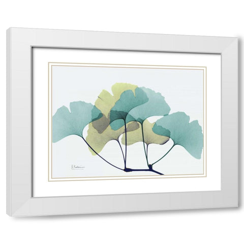 Gingko L140 White Modern Wood Framed Art Print with Double Matting by Koetsier, Albert