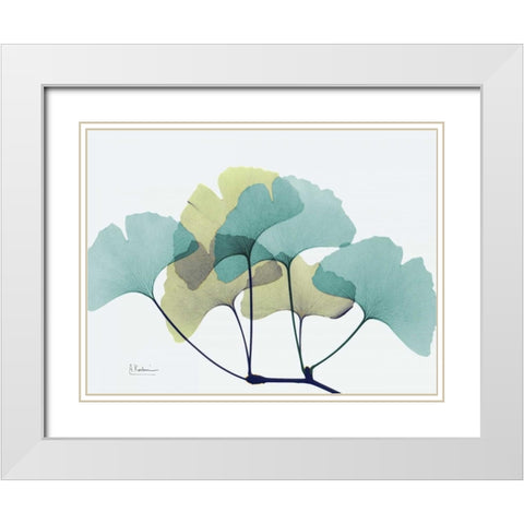 Gingko L140 White Modern Wood Framed Art Print with Double Matting by Koetsier, Albert
