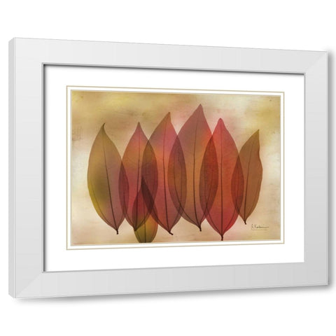 Harvest Light 1 White Modern Wood Framed Art Print with Double Matting by Koetsier, Albert