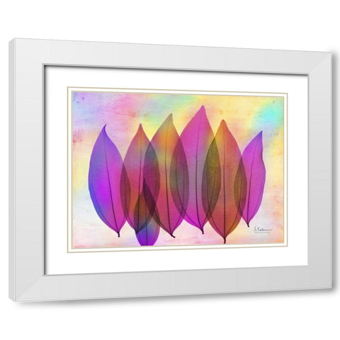 Retroluxed Coculus White Modern Wood Framed Art Print with Double Matting by Koetsier, Albert