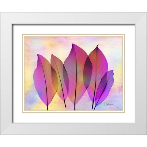 Retroluxed Magnoli White Modern Wood Framed Art Print with Double Matting by Koetsier, Albert