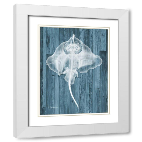 Skate Wood White Modern Wood Framed Art Print with Double Matting by Koetsier, Albert